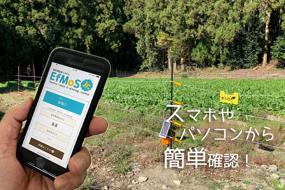 EfMoS Jr.はスマホやパソコンから簡単確認できます