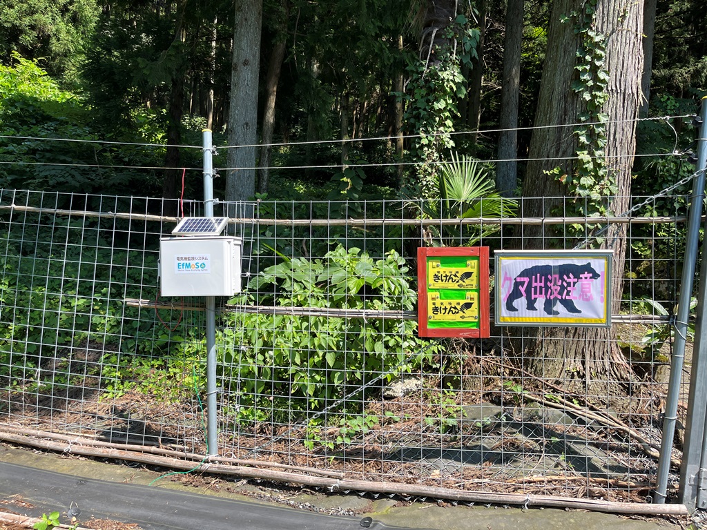 エフモスジュニア施行事例